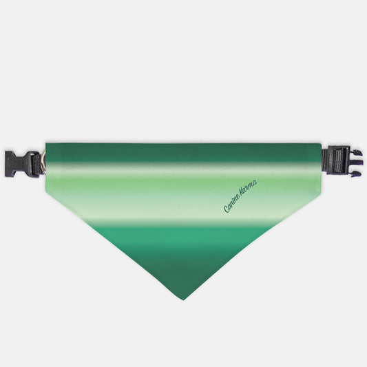 Malcolm Collar Bandana (Jade Ombré)