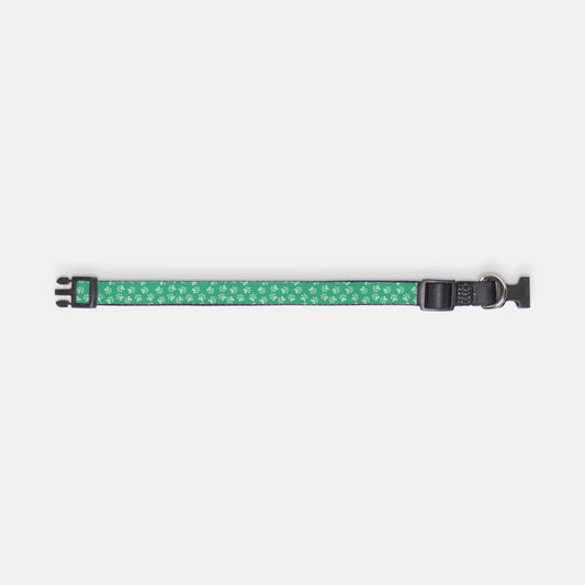 Herman Pet Collar (Jade/Mint)