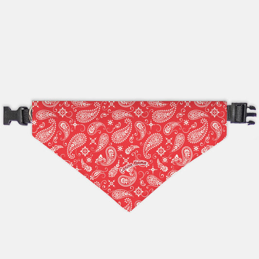 Sawyer Collar Bandana (Red)