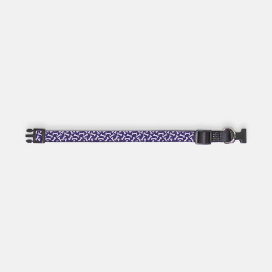 Buster Pet Collar (Purple/Lilac)