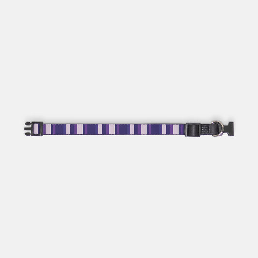 Hudson Pet Collar (Purple Ombre)