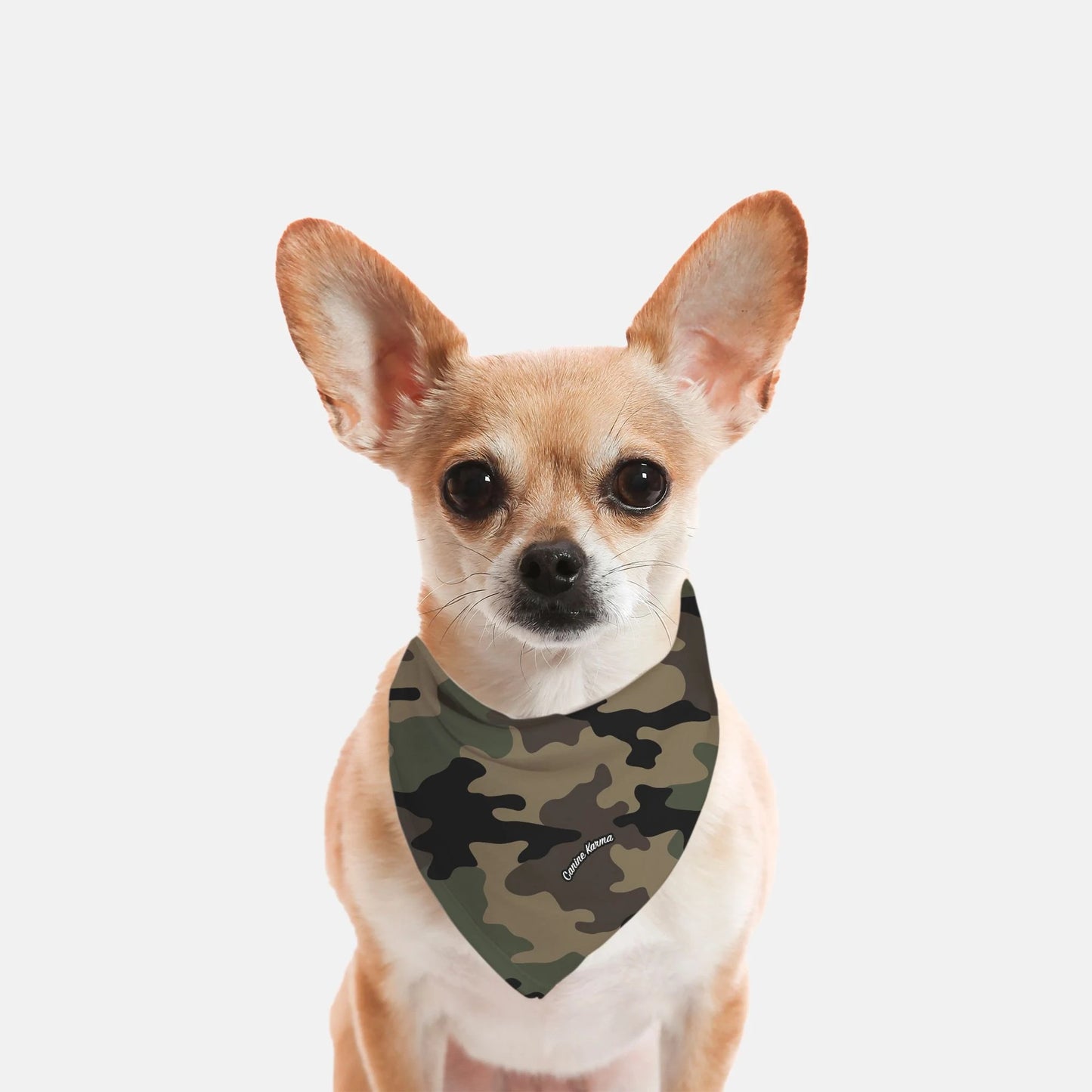 Hank Pet Bandana