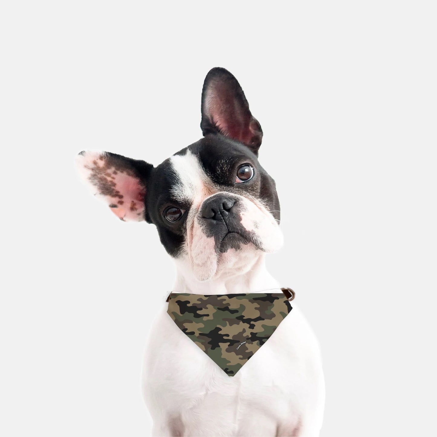 Hank Collar Bandana