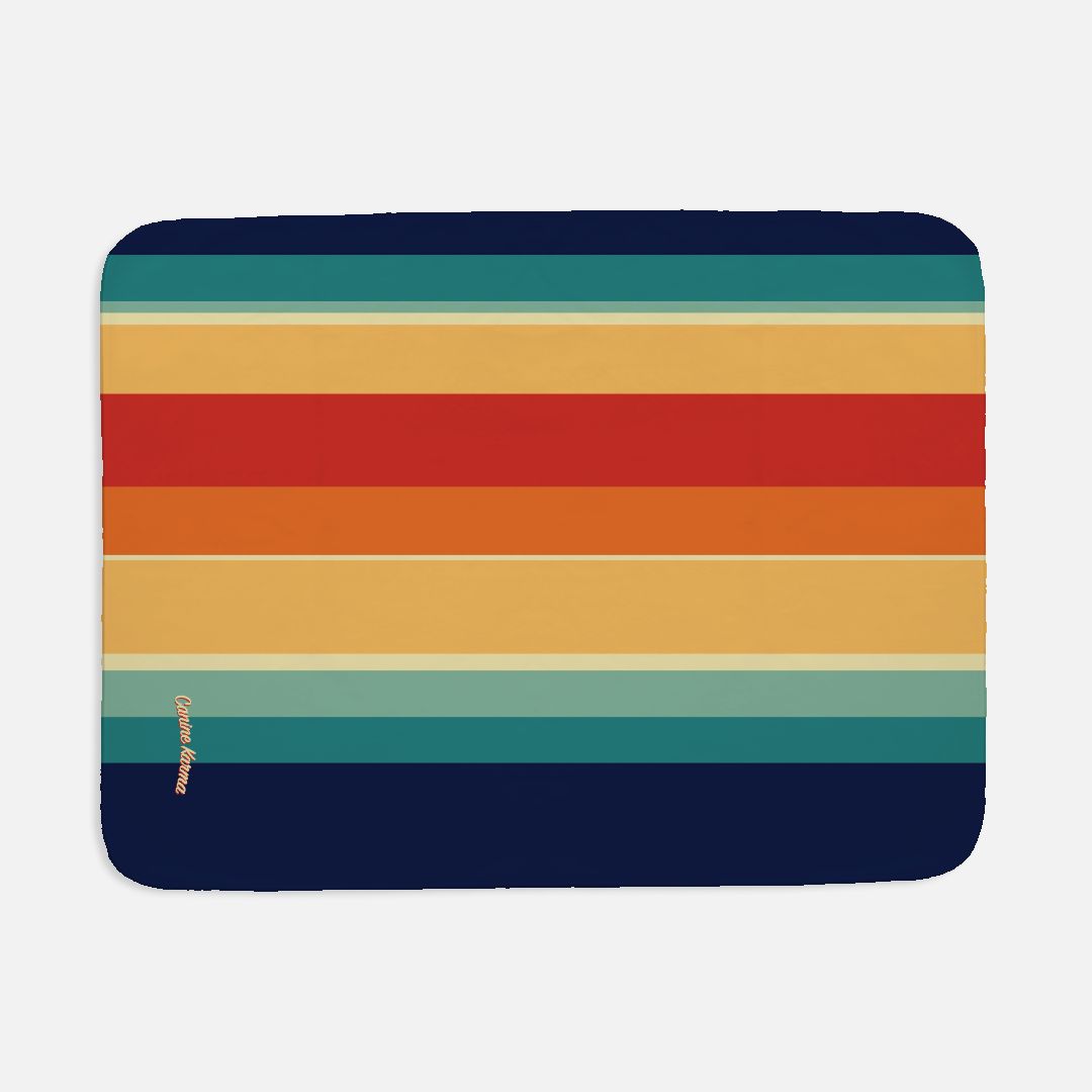 Hudson Pet Blanket (Retro Rainbow)