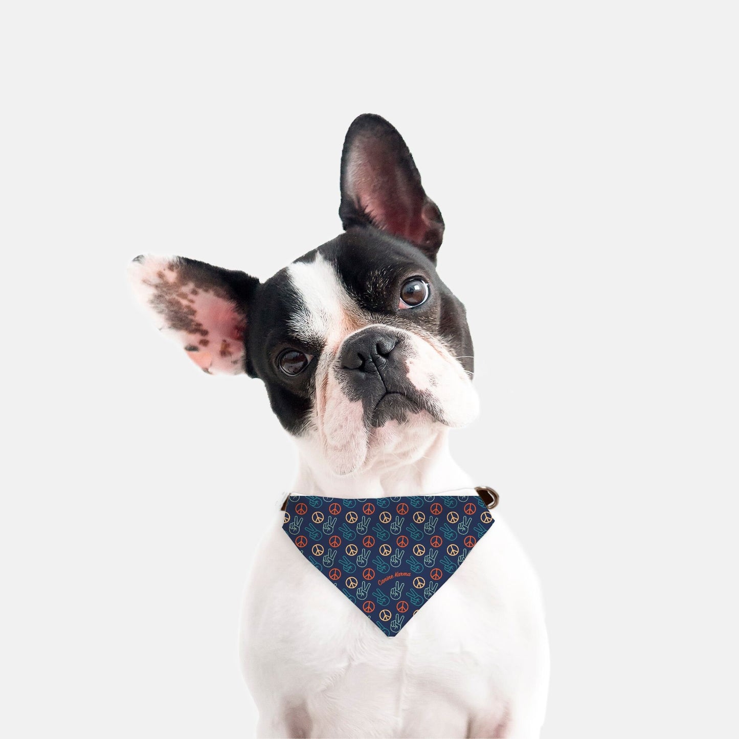 Papas Collar Bandana (Retro Rainbow - Bold Print)