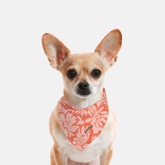 Lola Bandana