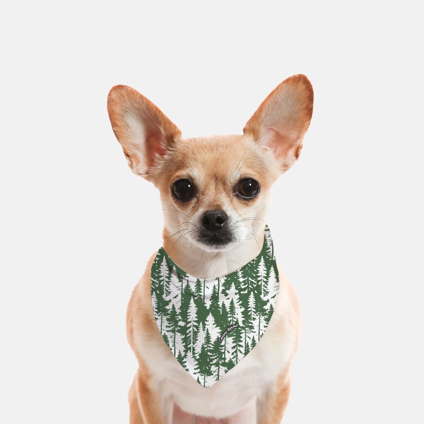 Scout Bandana