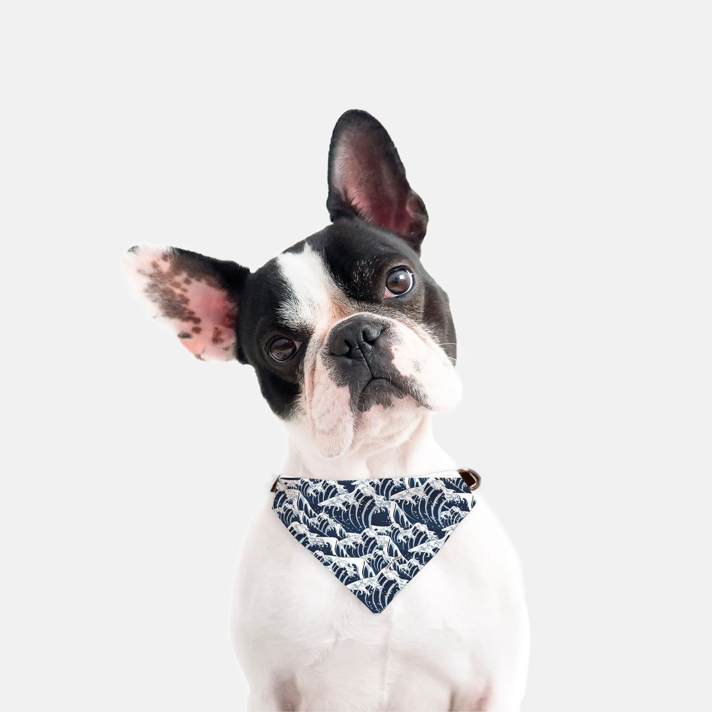 Kai Collar Bandana