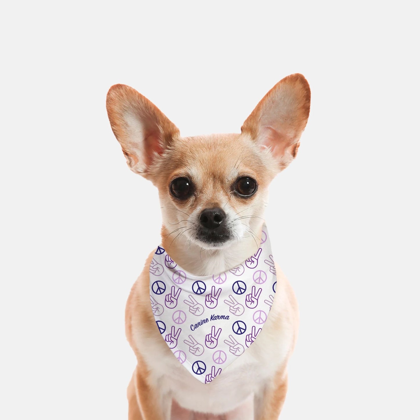 Papas Bandana (Purple - Bold Print)