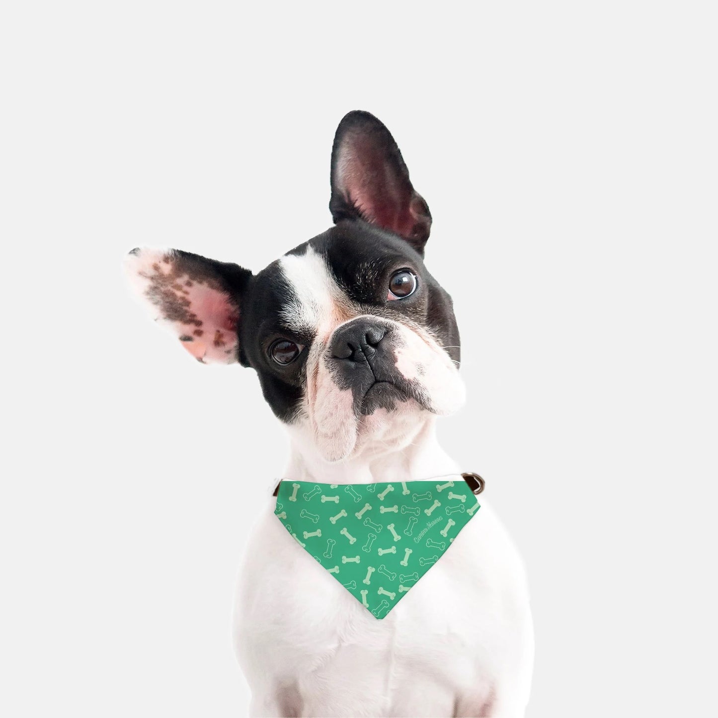 Buster Collar Bandana (Jade/Mint)