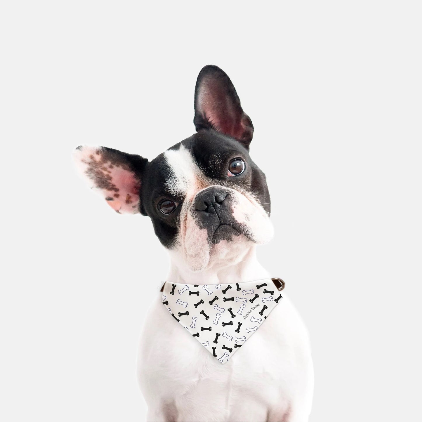 Buster Collar Bandana (White/Black)