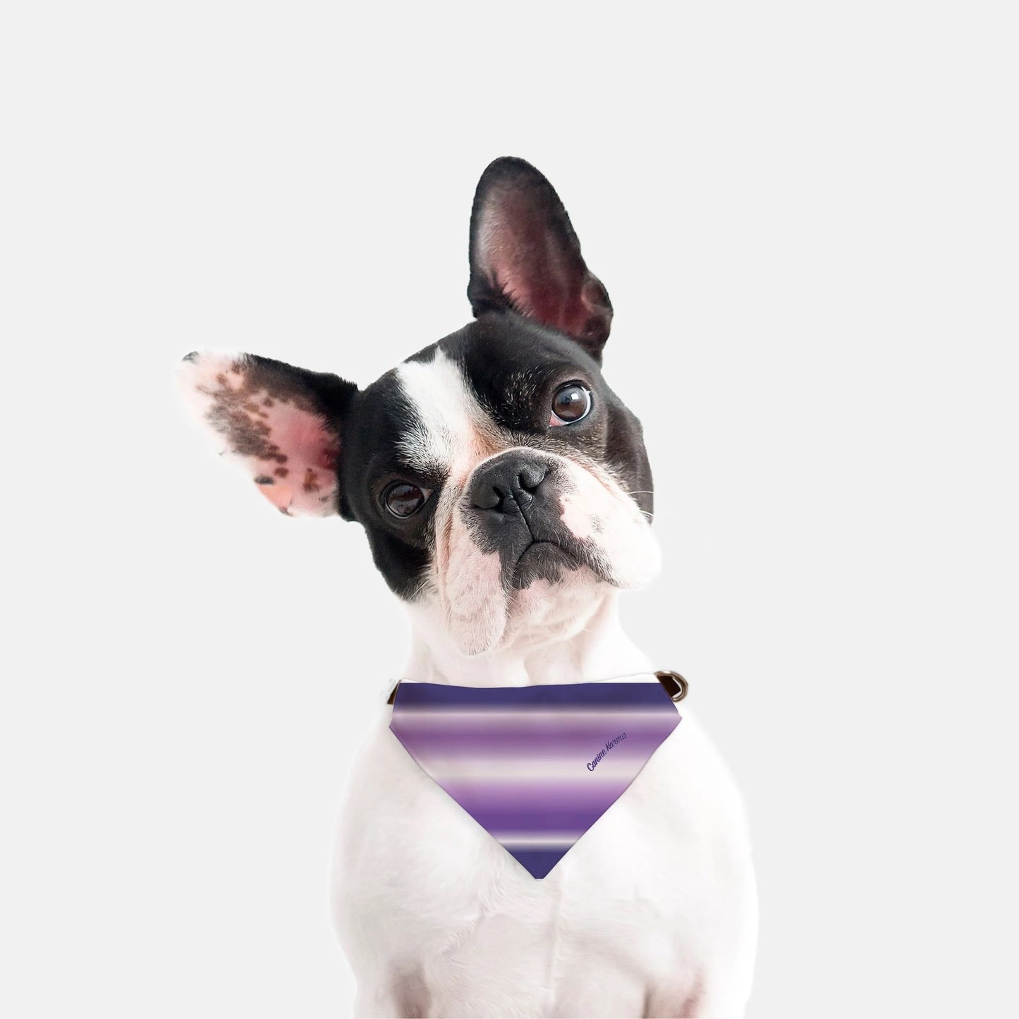 Malcolm Collar Bandana (Purple Ombré)