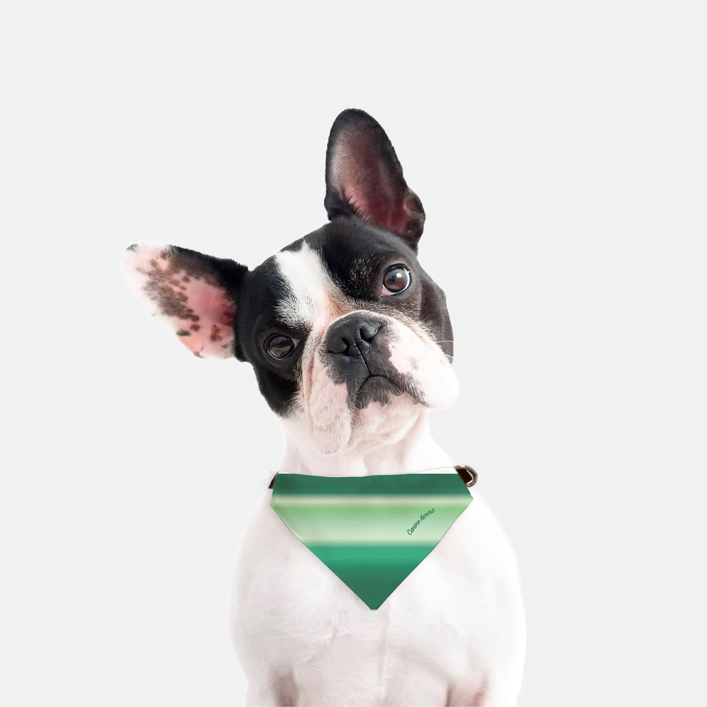 Malcolm Collar Bandana (Jade Ombré)