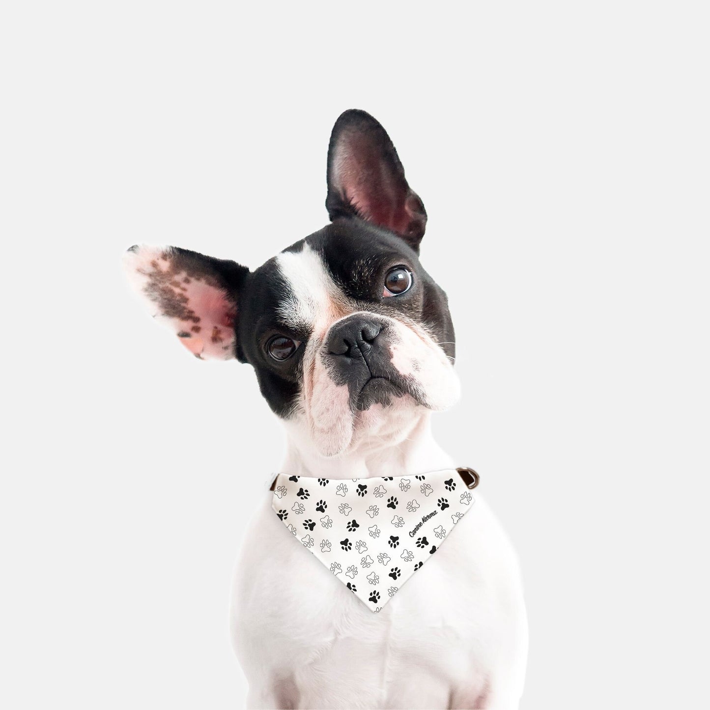 Herman Collar Bandana (White/Black)