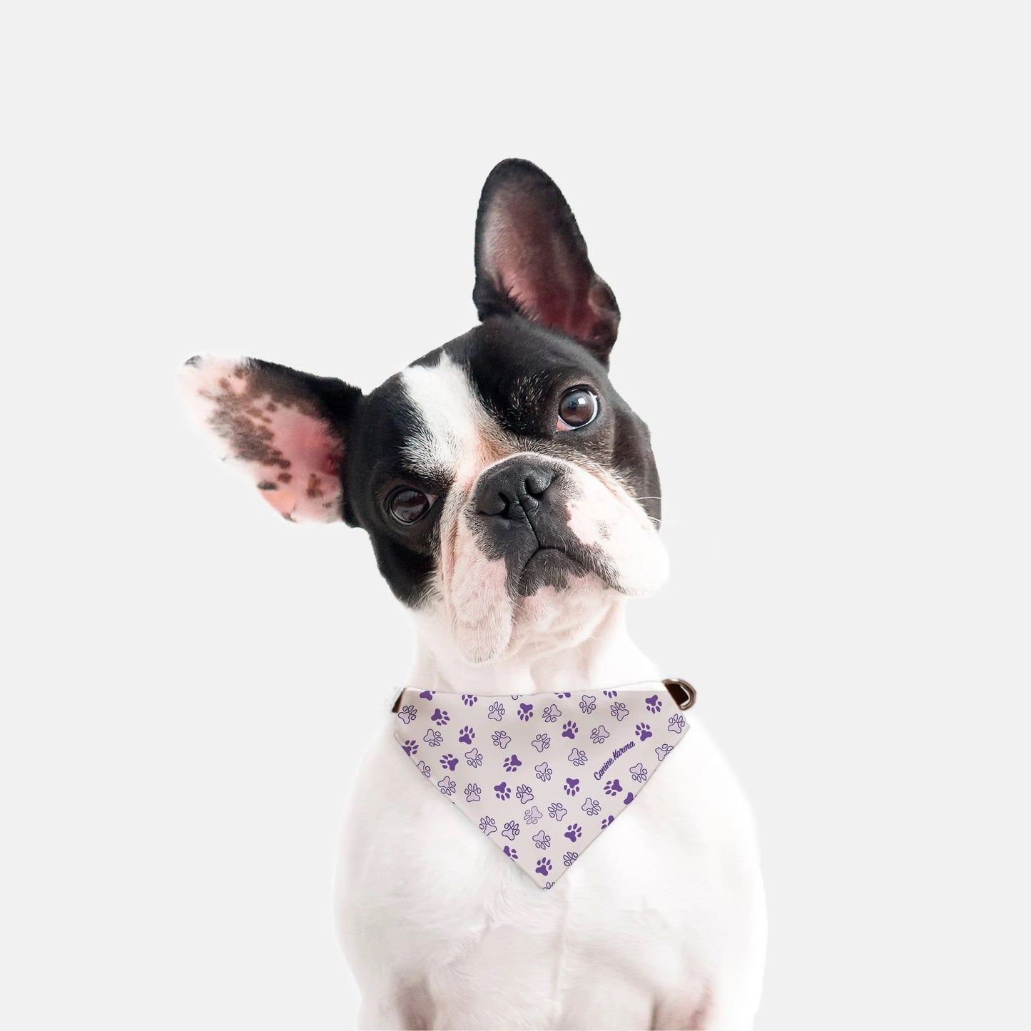 Herman Collar Bandana (Purple)