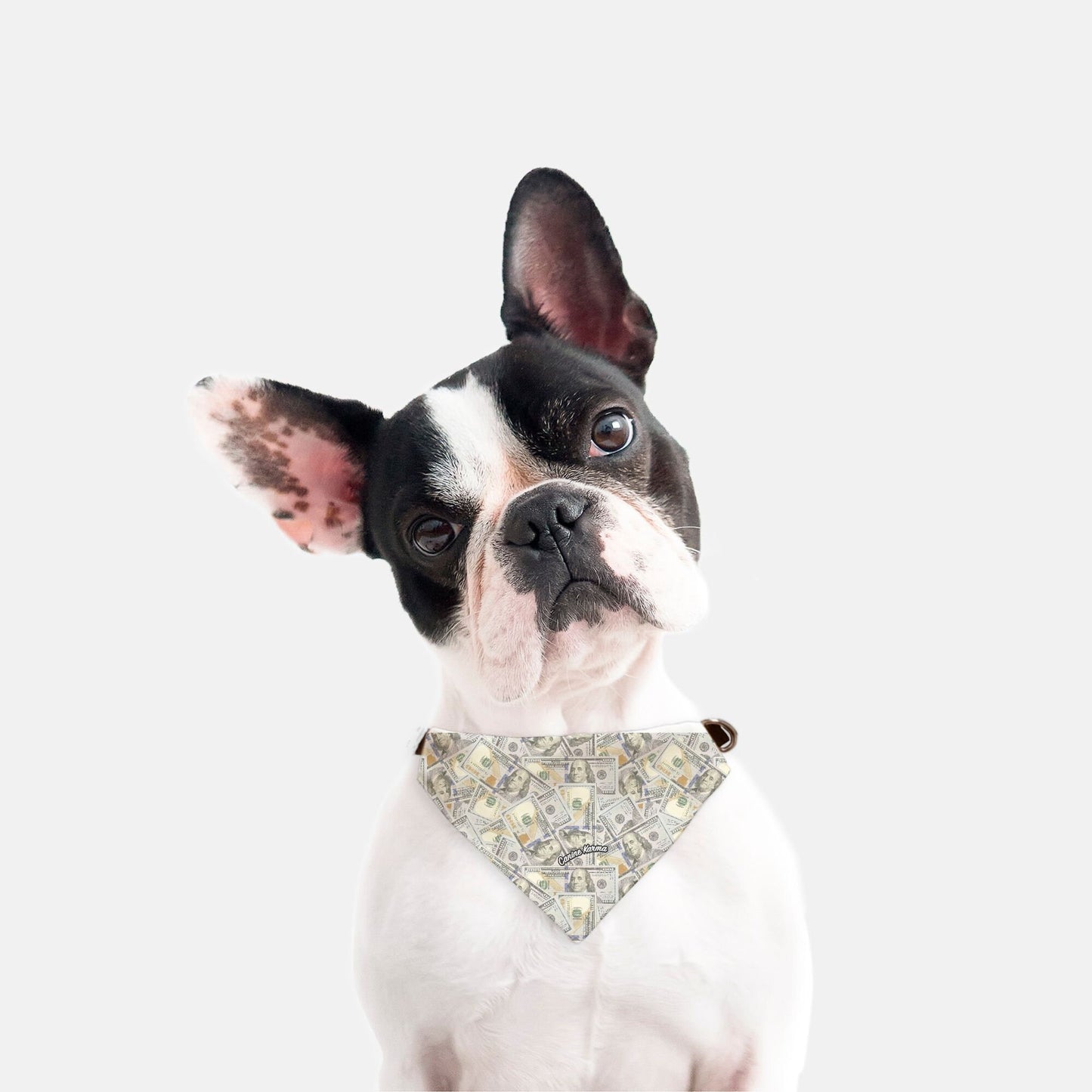 Benji Collar Bandana