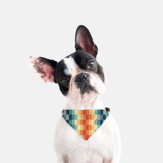 Zeke Collar Bandana (Retro Rainbow)