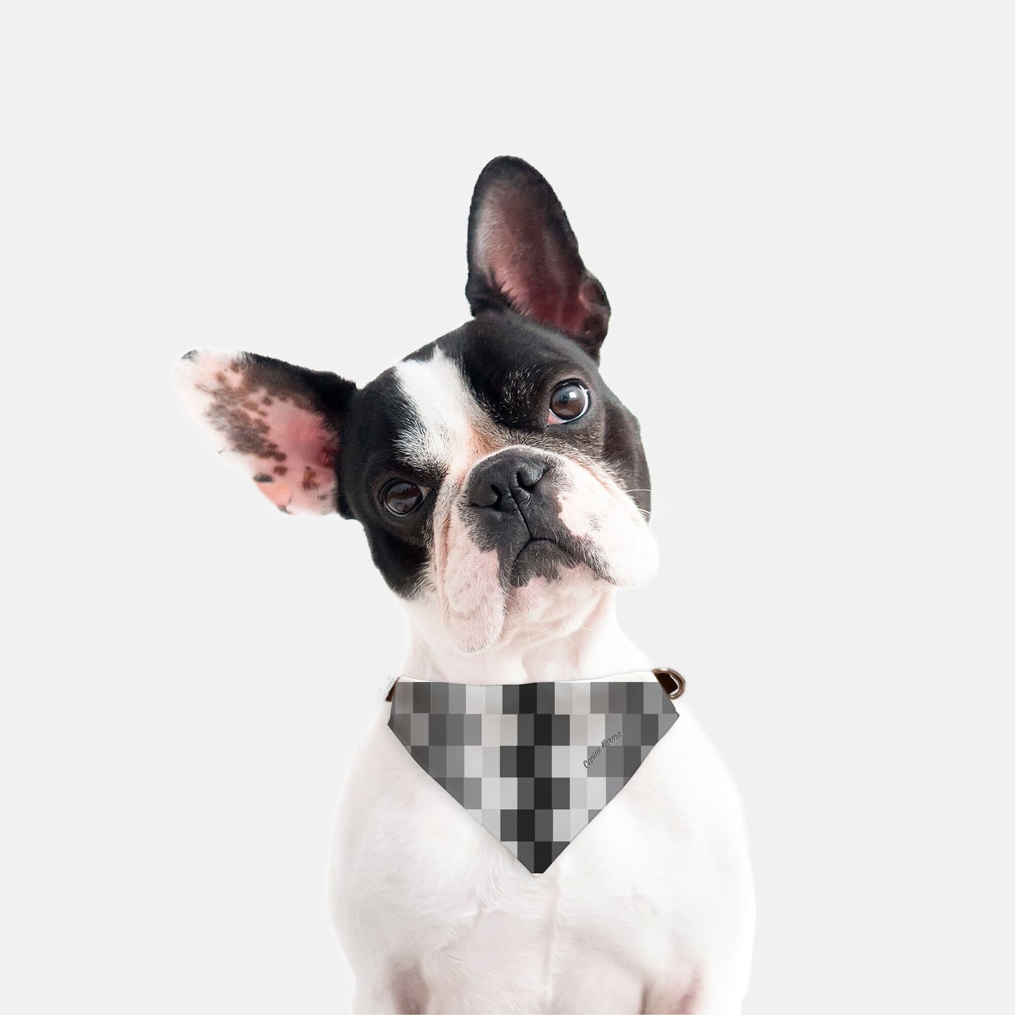 Zeke Collar Bandana (Grayscale)