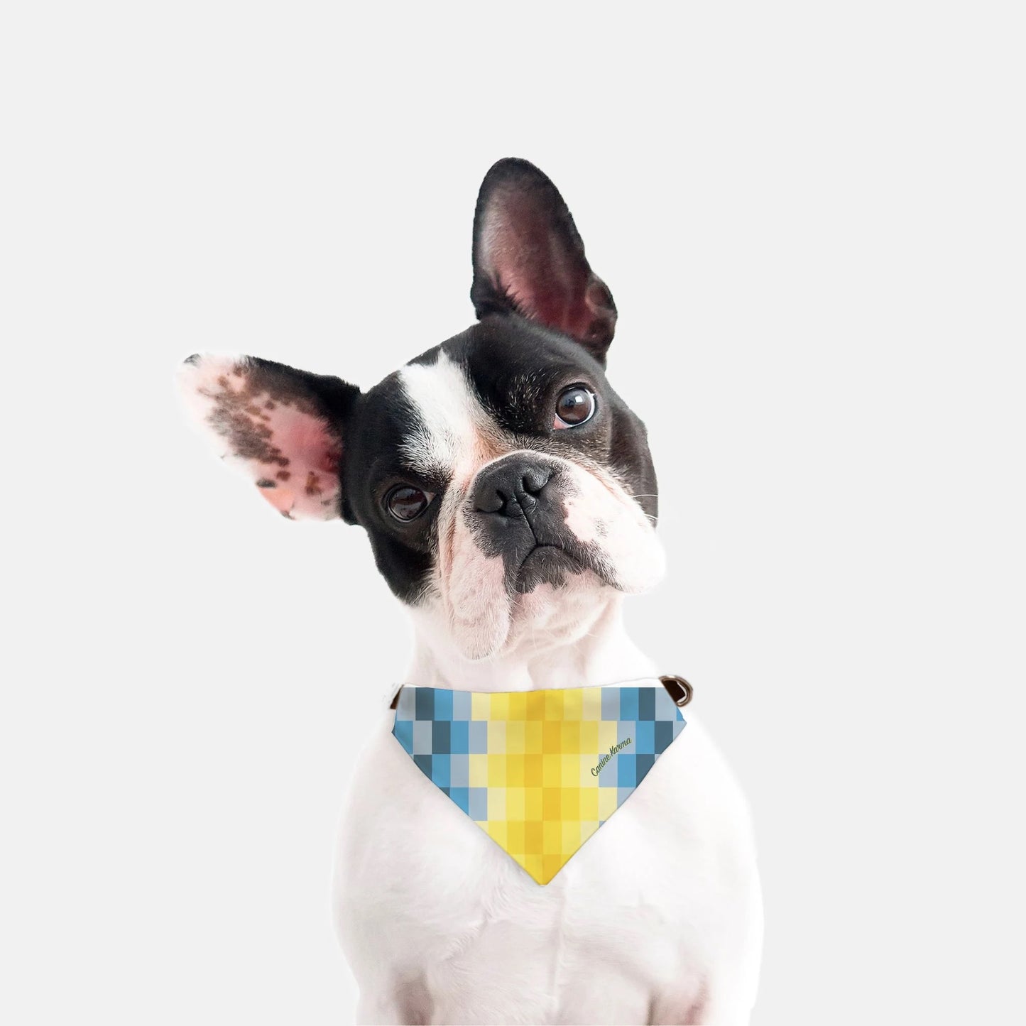 Zeke Collar Bandana (Blue/Yellow)