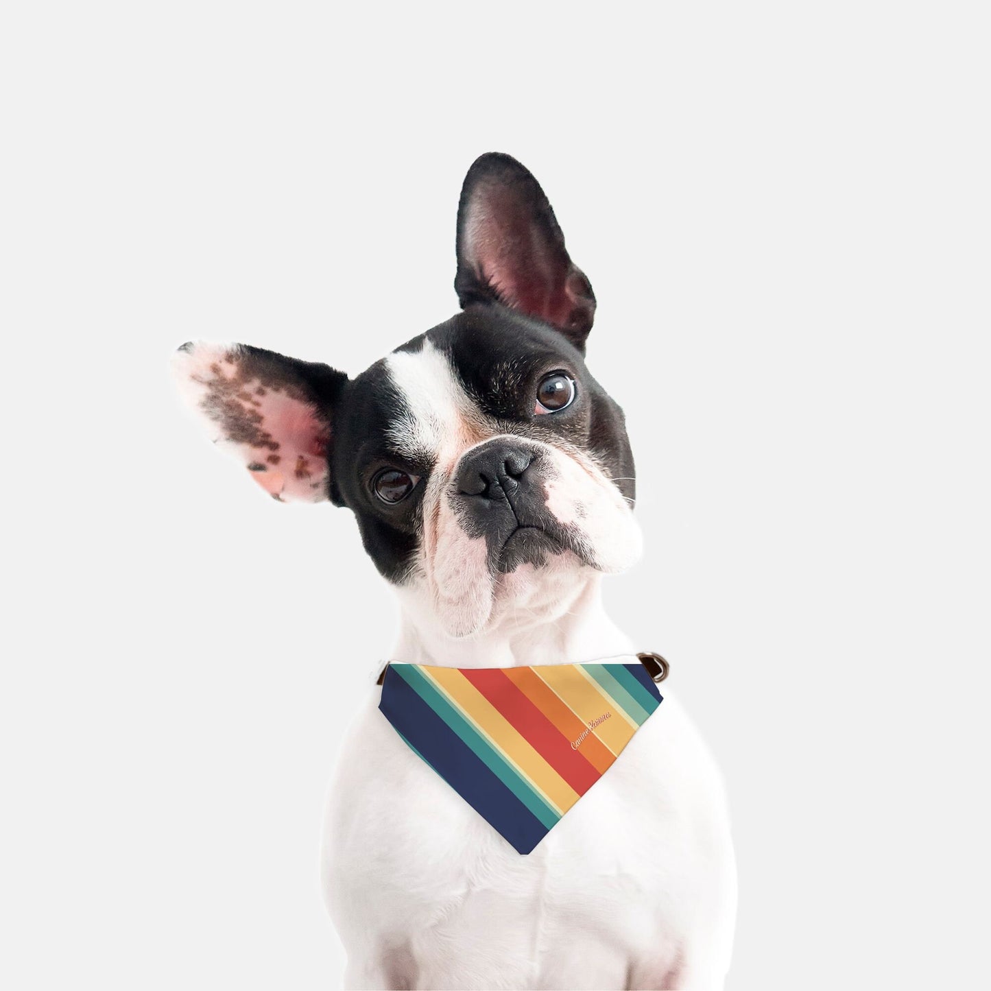 Marley Collar Bandana (Retro Rainbow)