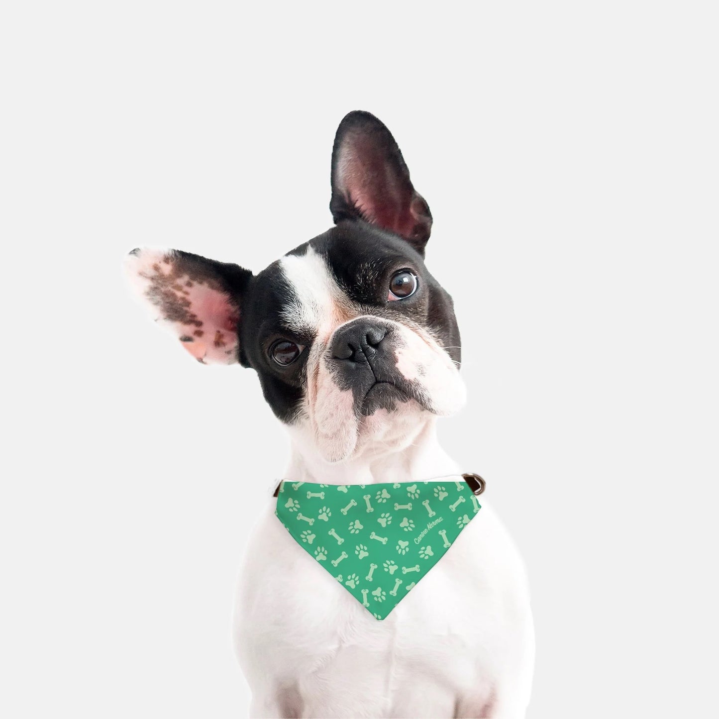 Max Collar Bandana (Jade/Mint)