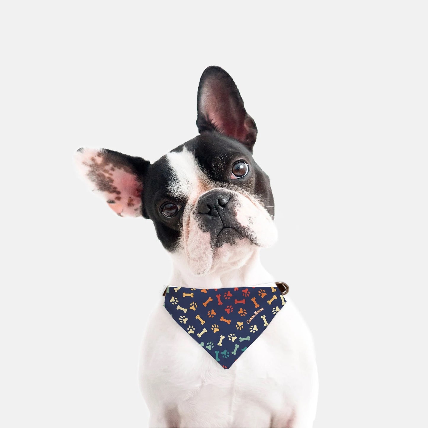 Max Collar Bandana (Retro Rainbow)