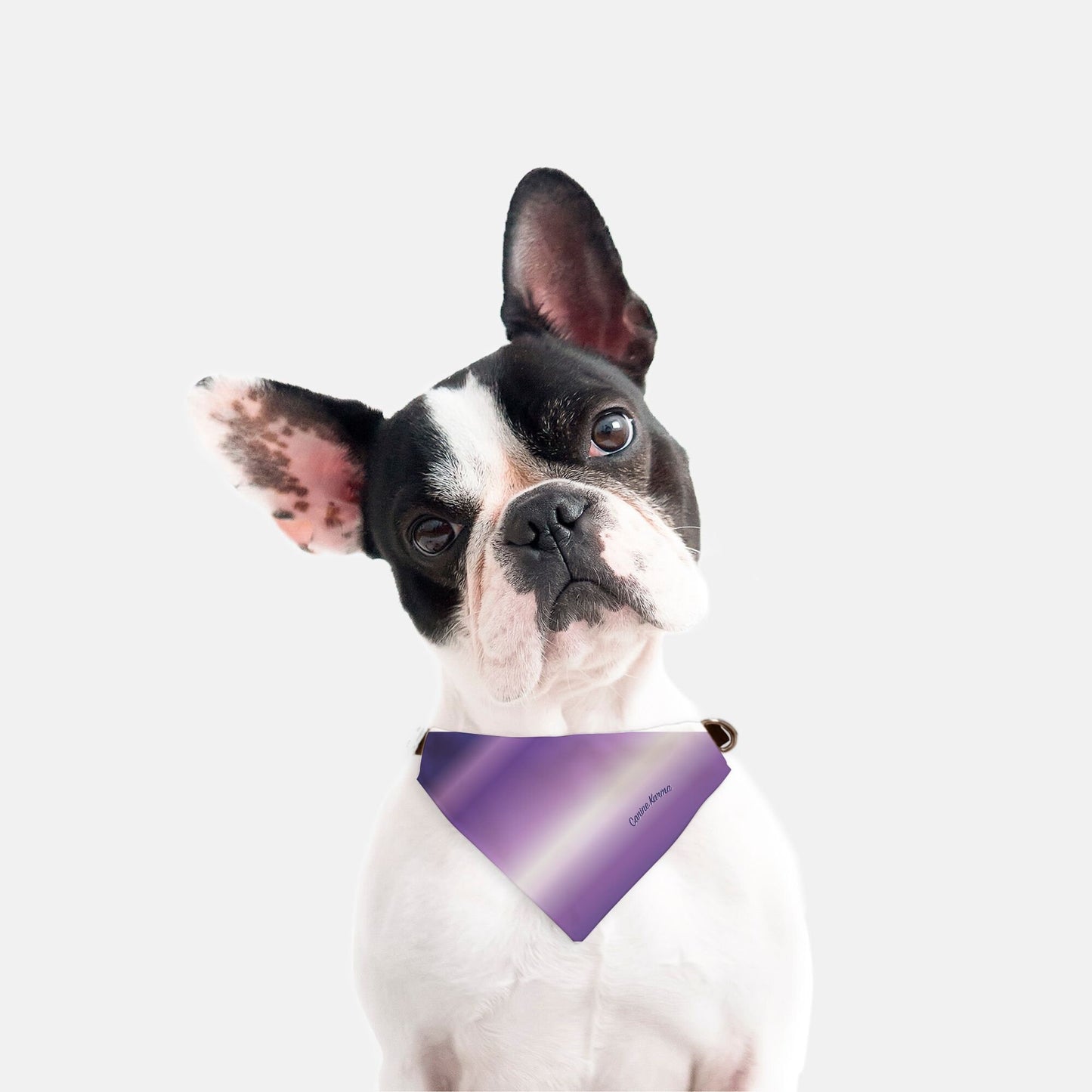 Aries Collar Bandana (Purple Ombré)