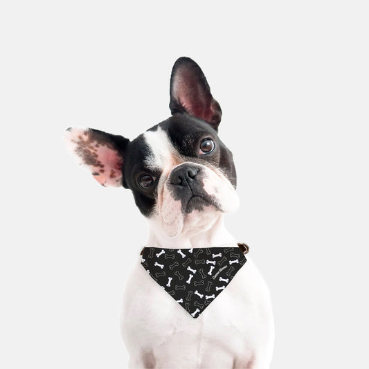 Buster Collar Bandana (Black/White)