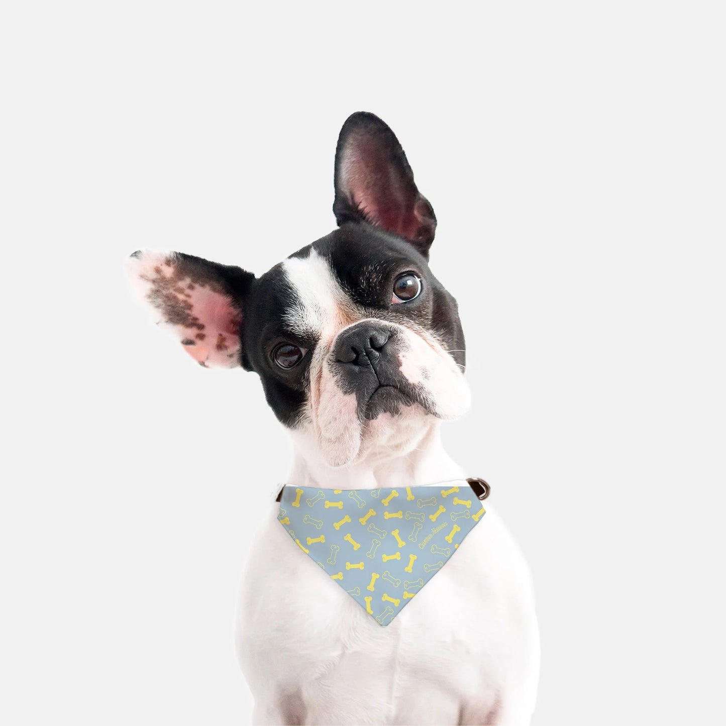 Buster Collar Bandana (Blue/Yellow)