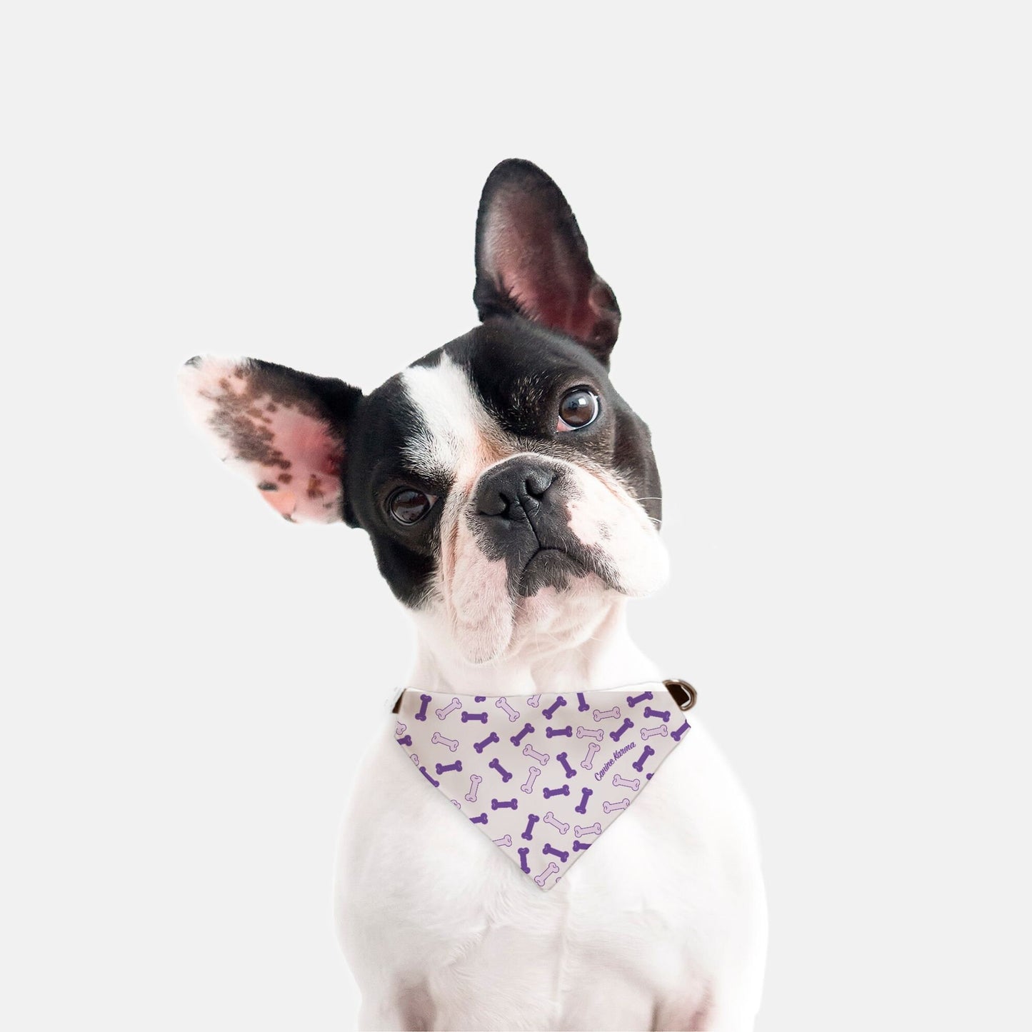 Buster Collar Bandana (Purple)