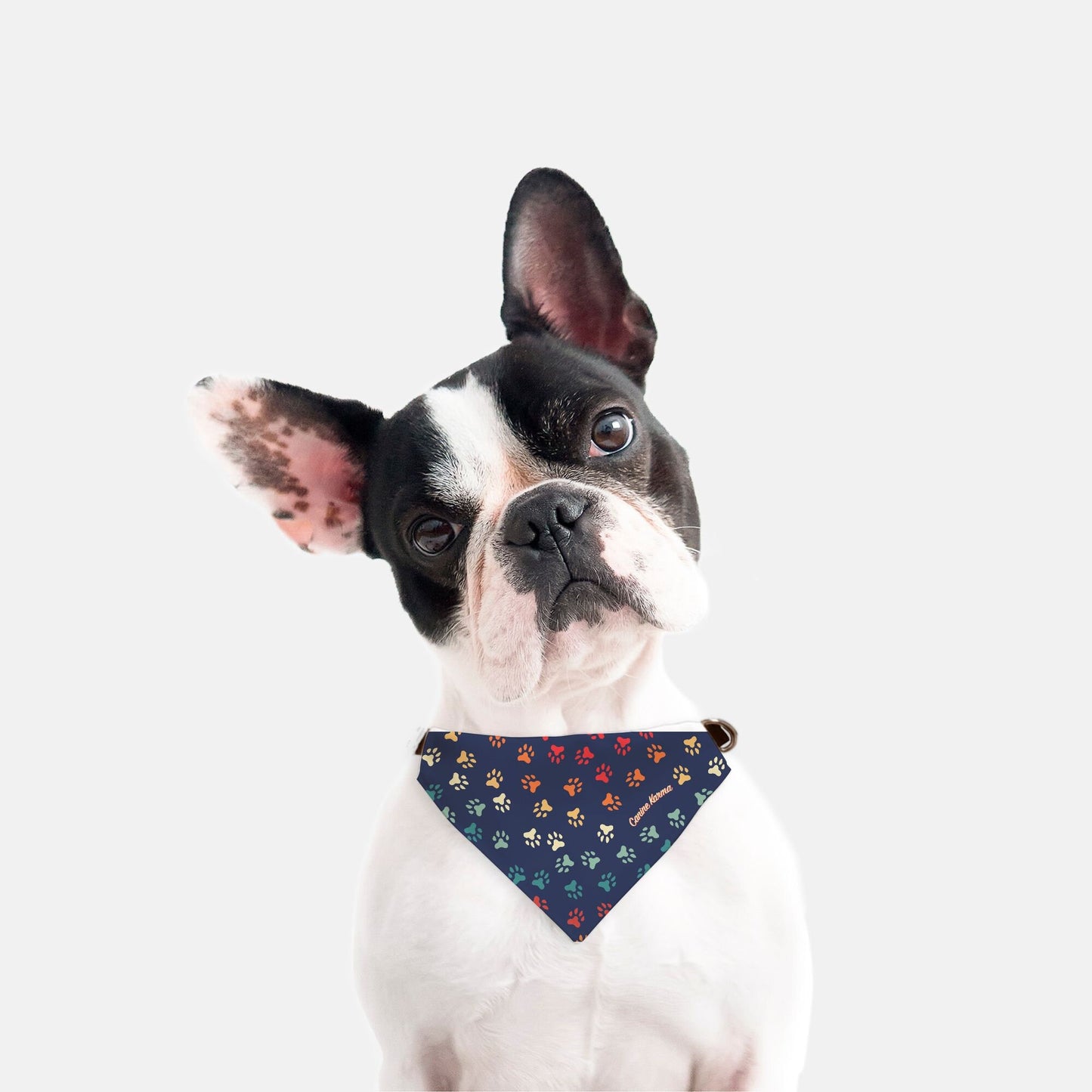 Herman Collar Bandana (Retro Rainbow)