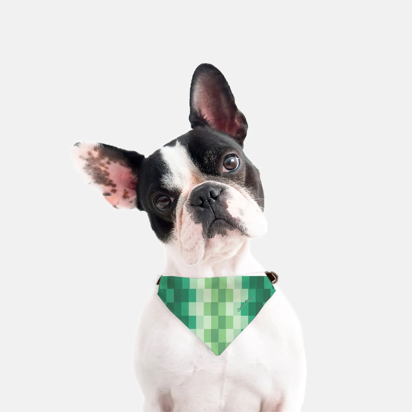 Zeke Collar Bandana (Jade)