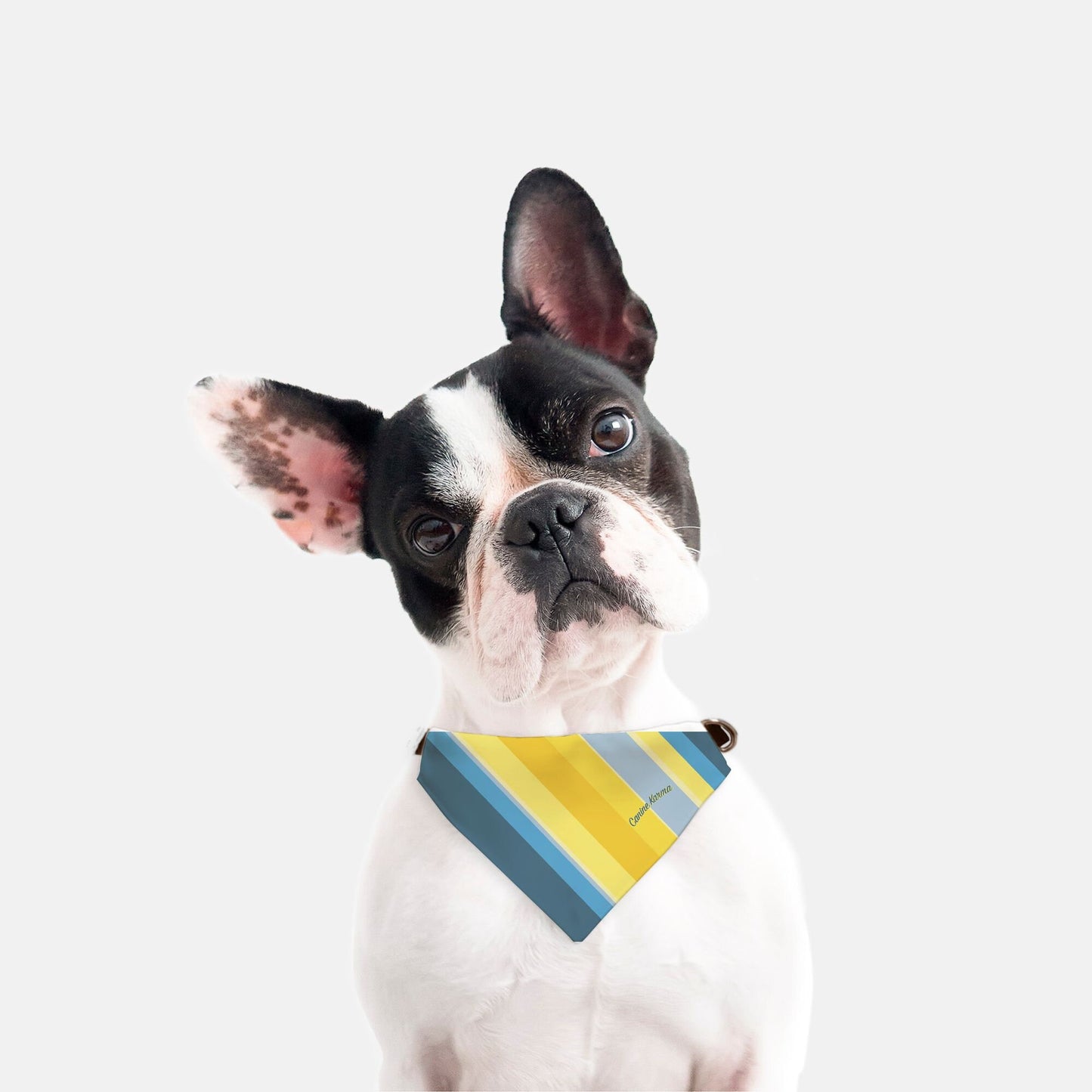 Marley Collar Bandana (Blue/Yellow)