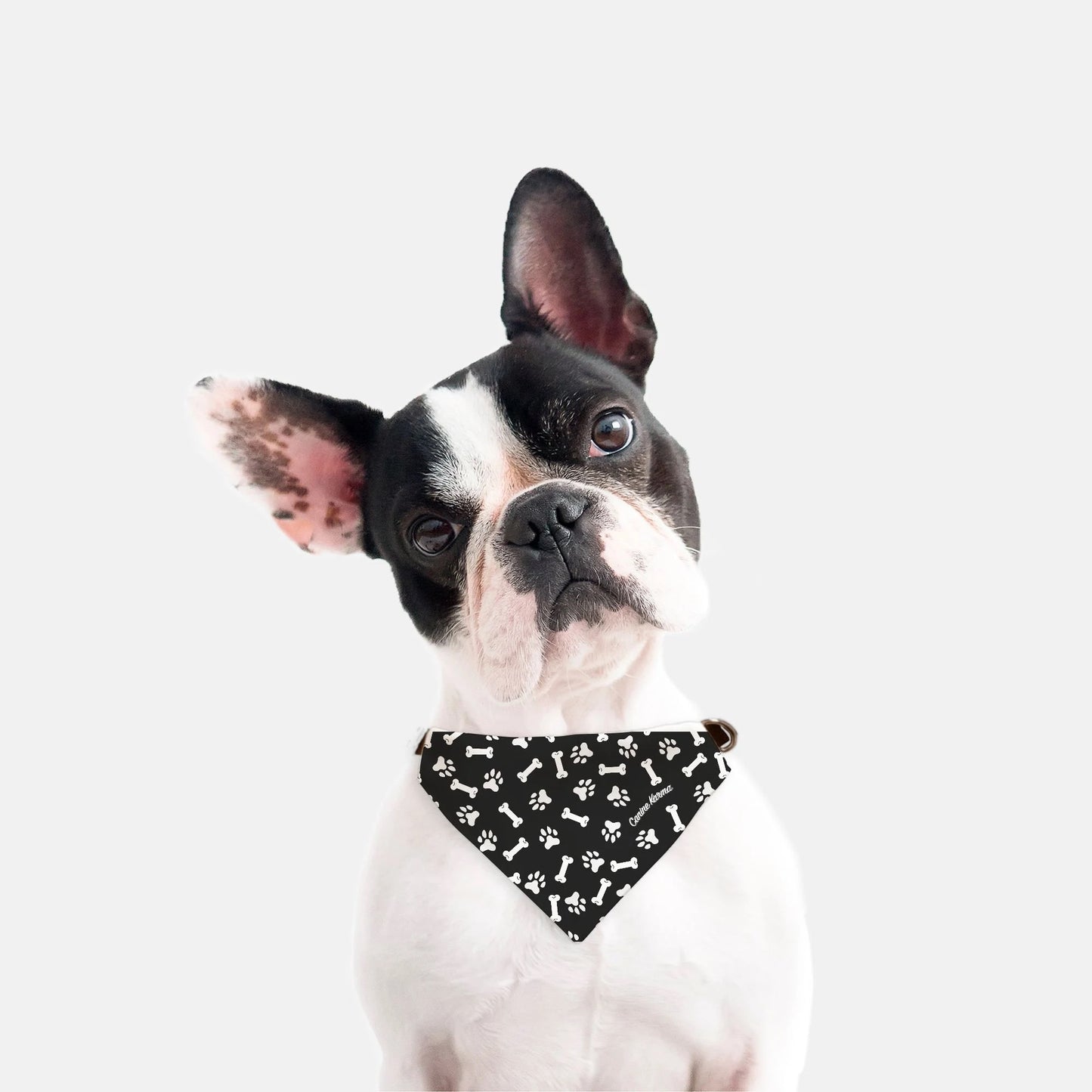 Max Collar Bandana (Black/White)