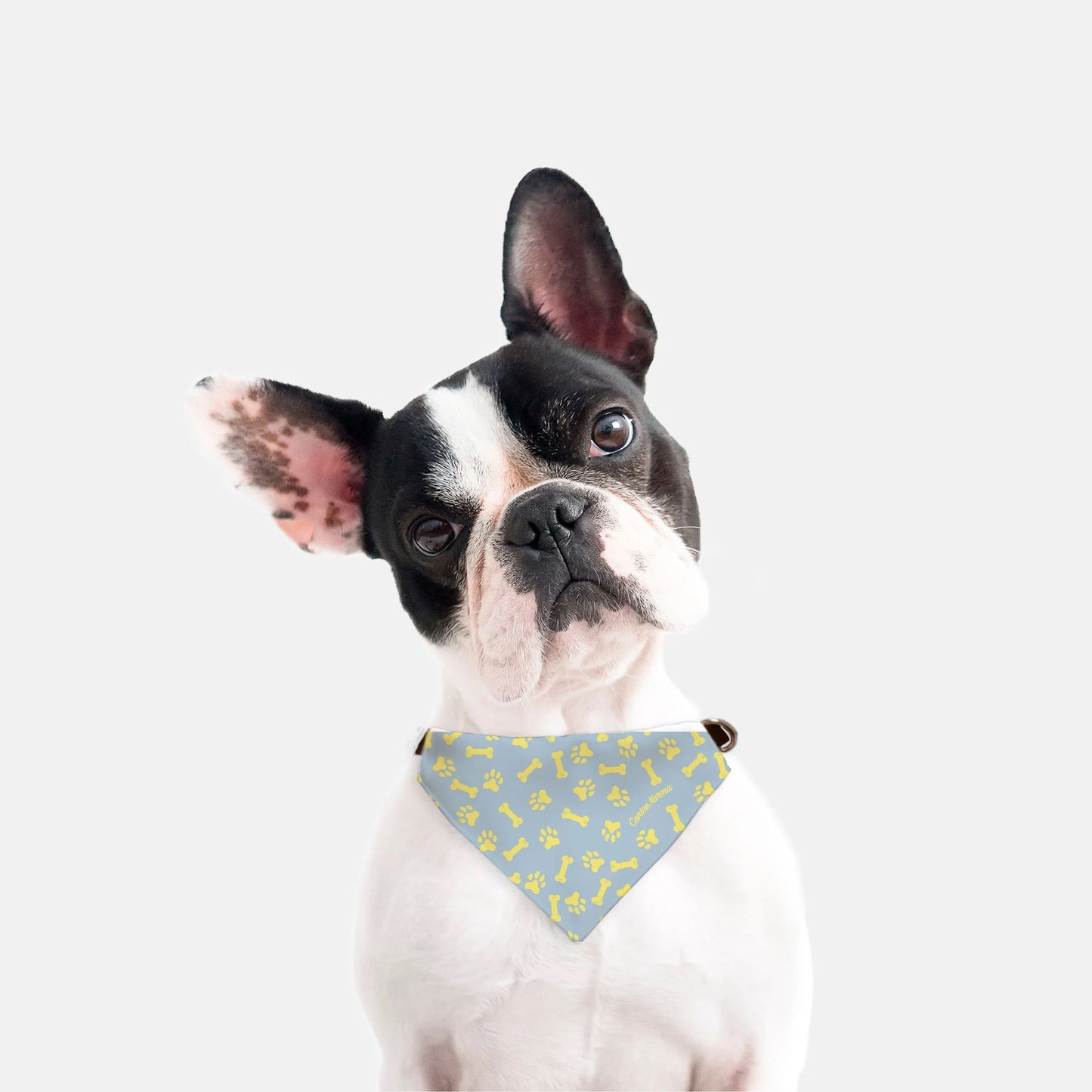 Max Collar Bandana (Blue/Yellow)