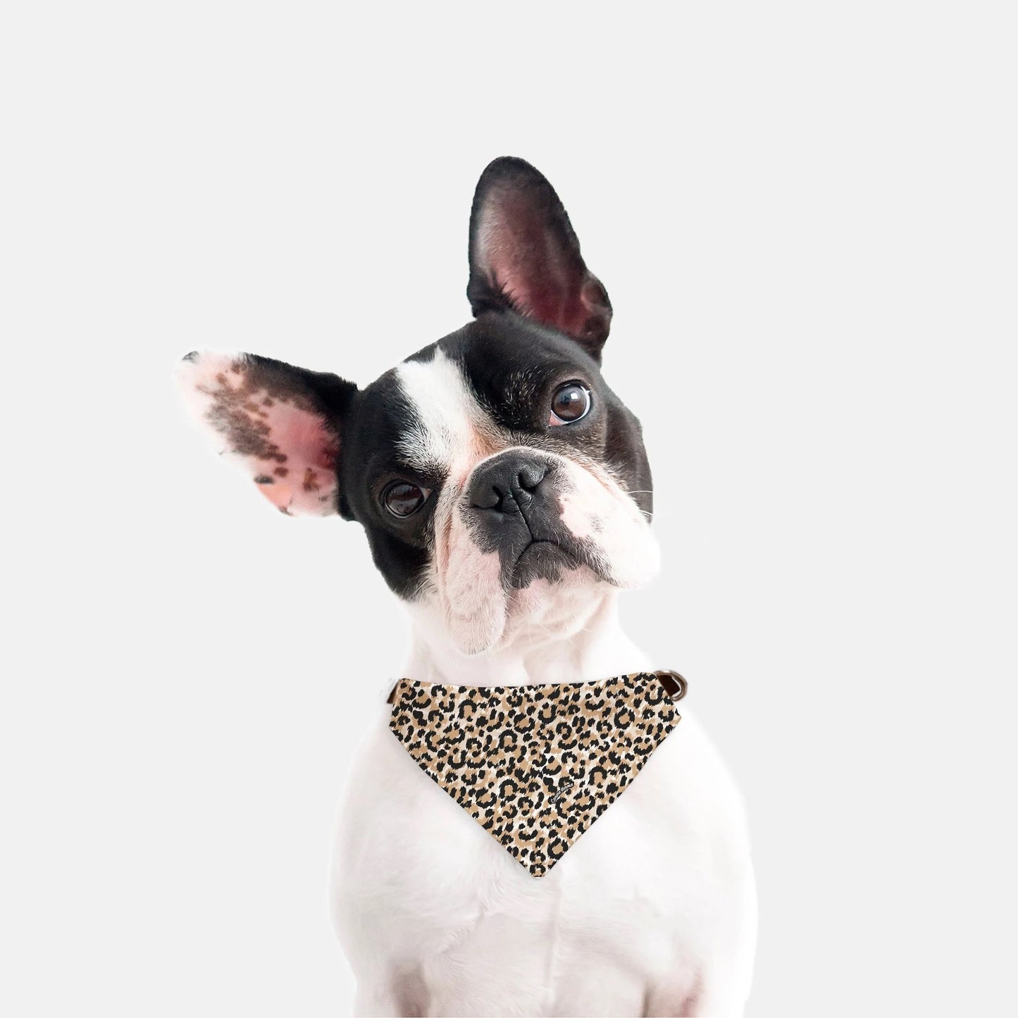 Roxy Collar Bandana