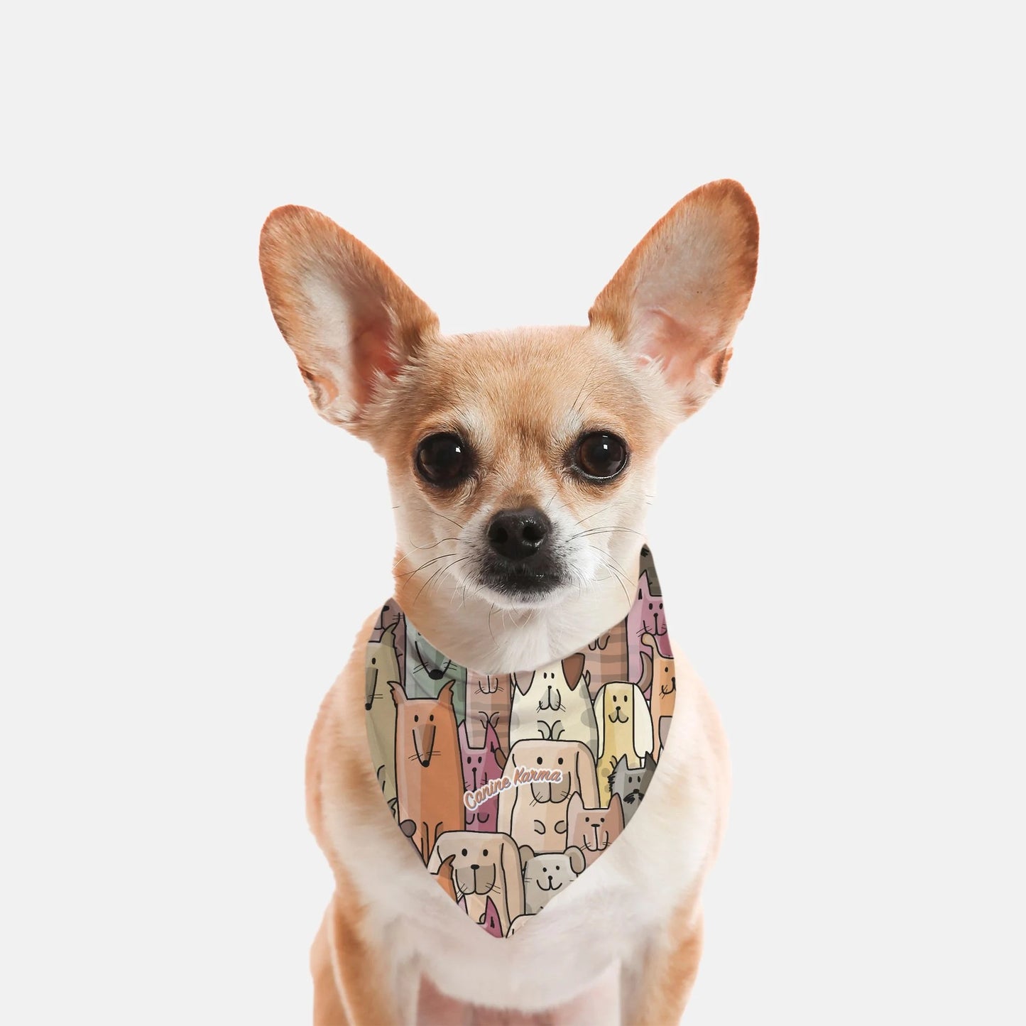 Buddy Bandana