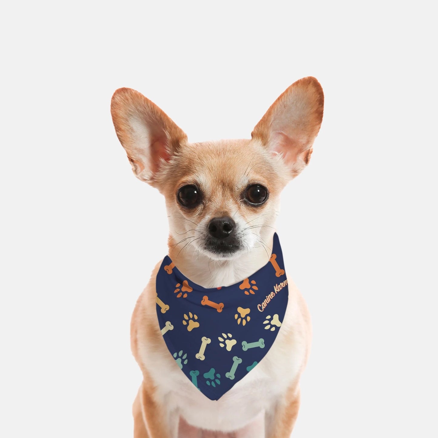 Buster Bandana (Retro Rainbow)