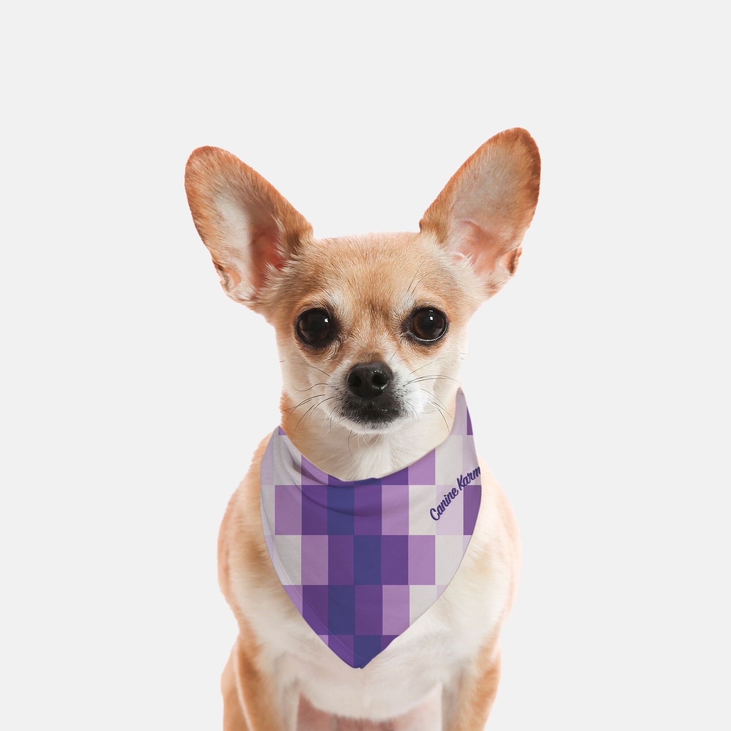 Zeke Bandana (Purple Ombre)