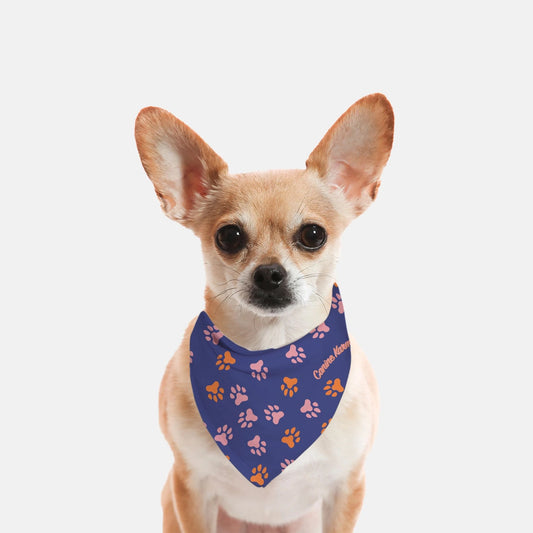 Herman Bandana (Color Pop)