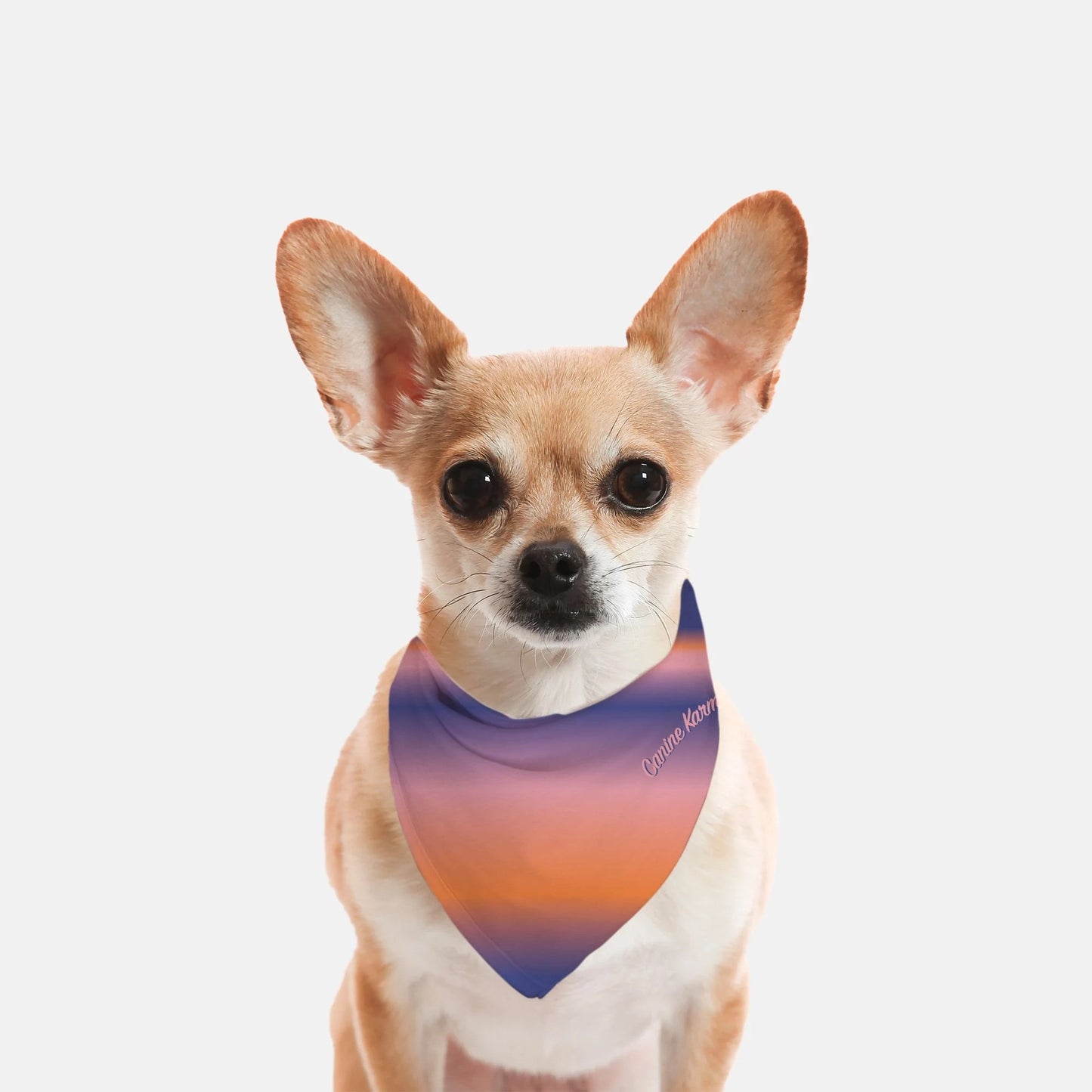 Malcolm Bandana (Color Pop)