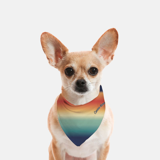 Malcolm Bandana (Retro Rainbow)