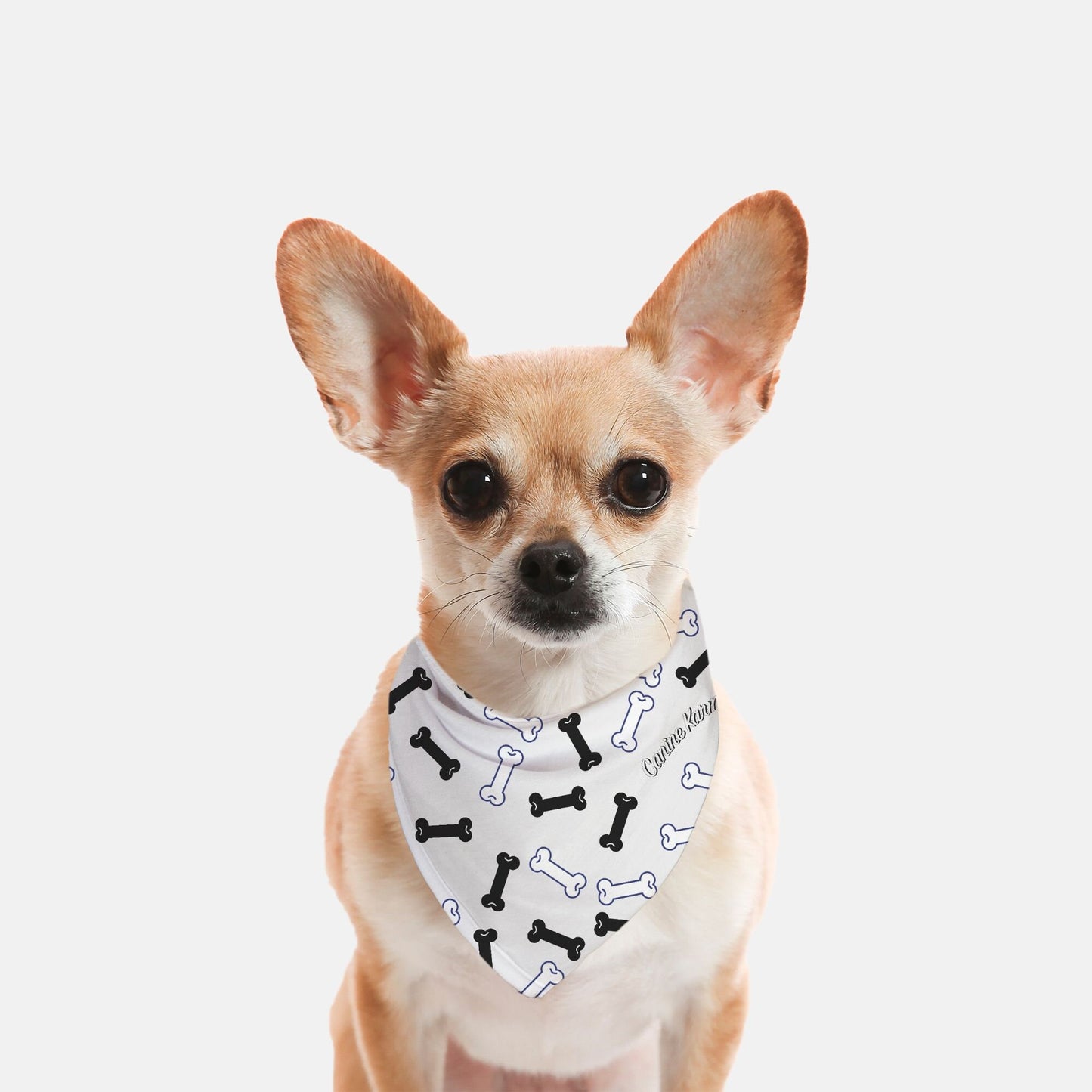 Buster Bandana (White/Black)