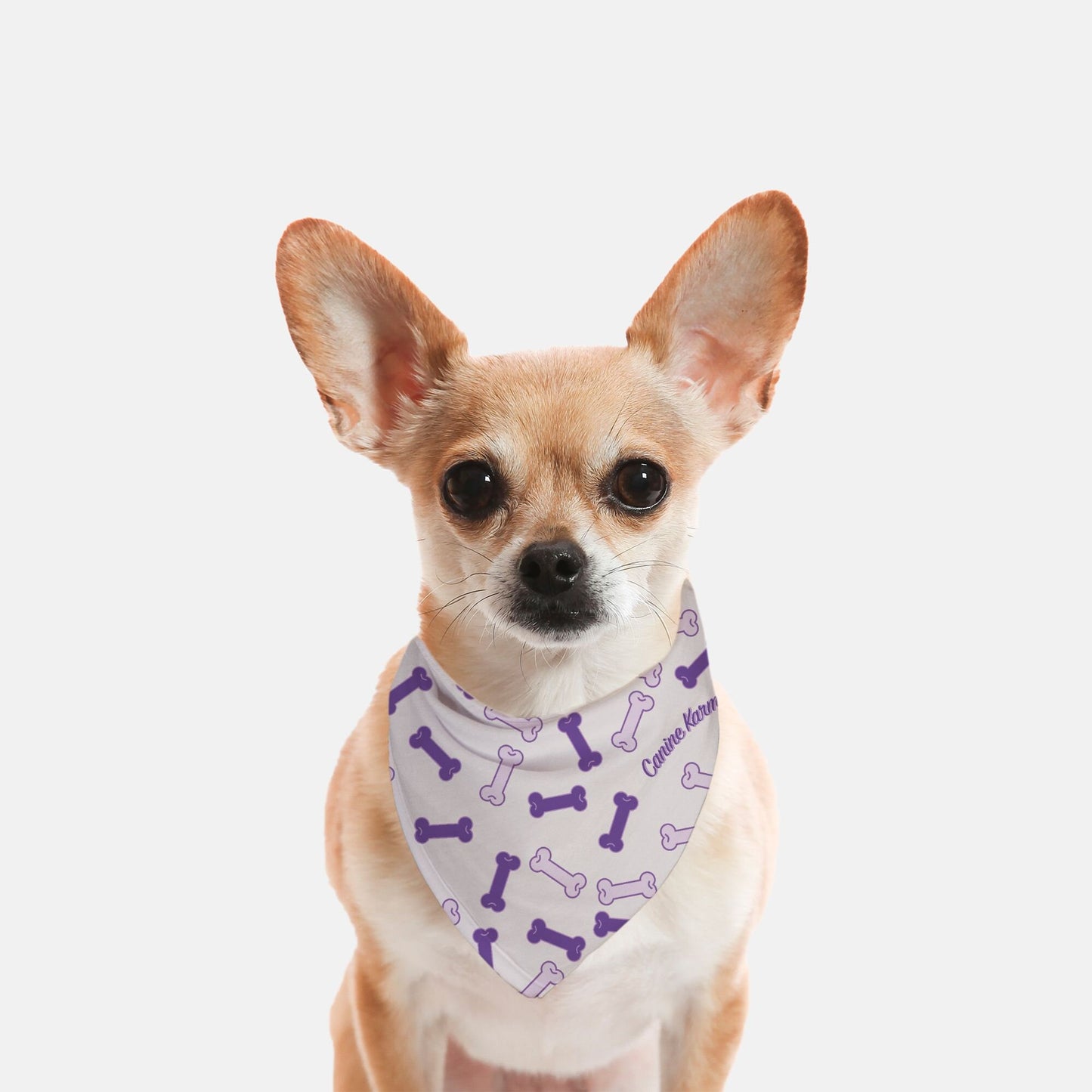 Buster Bandana (Purple)