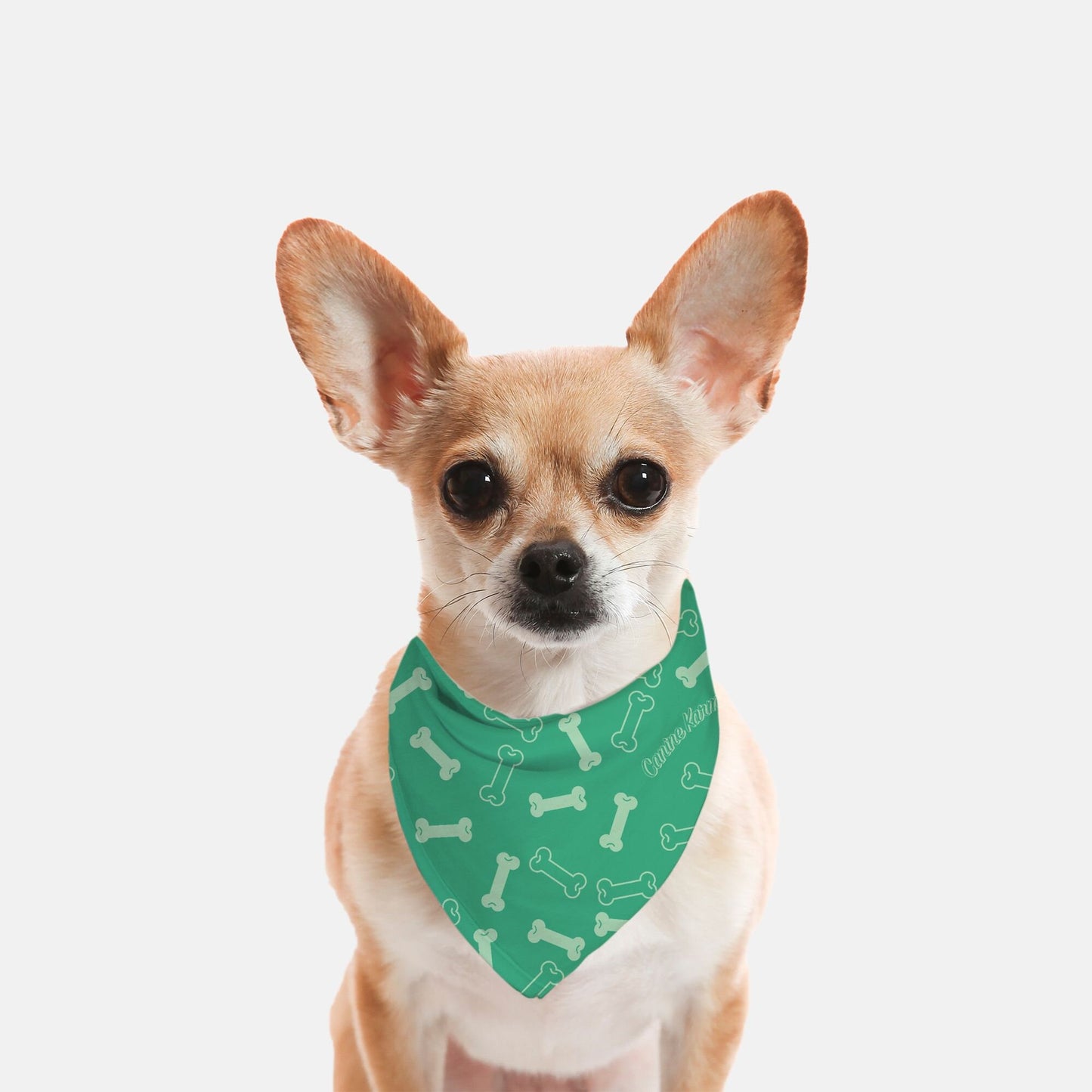 Buster Bandana (Jade/Mint)