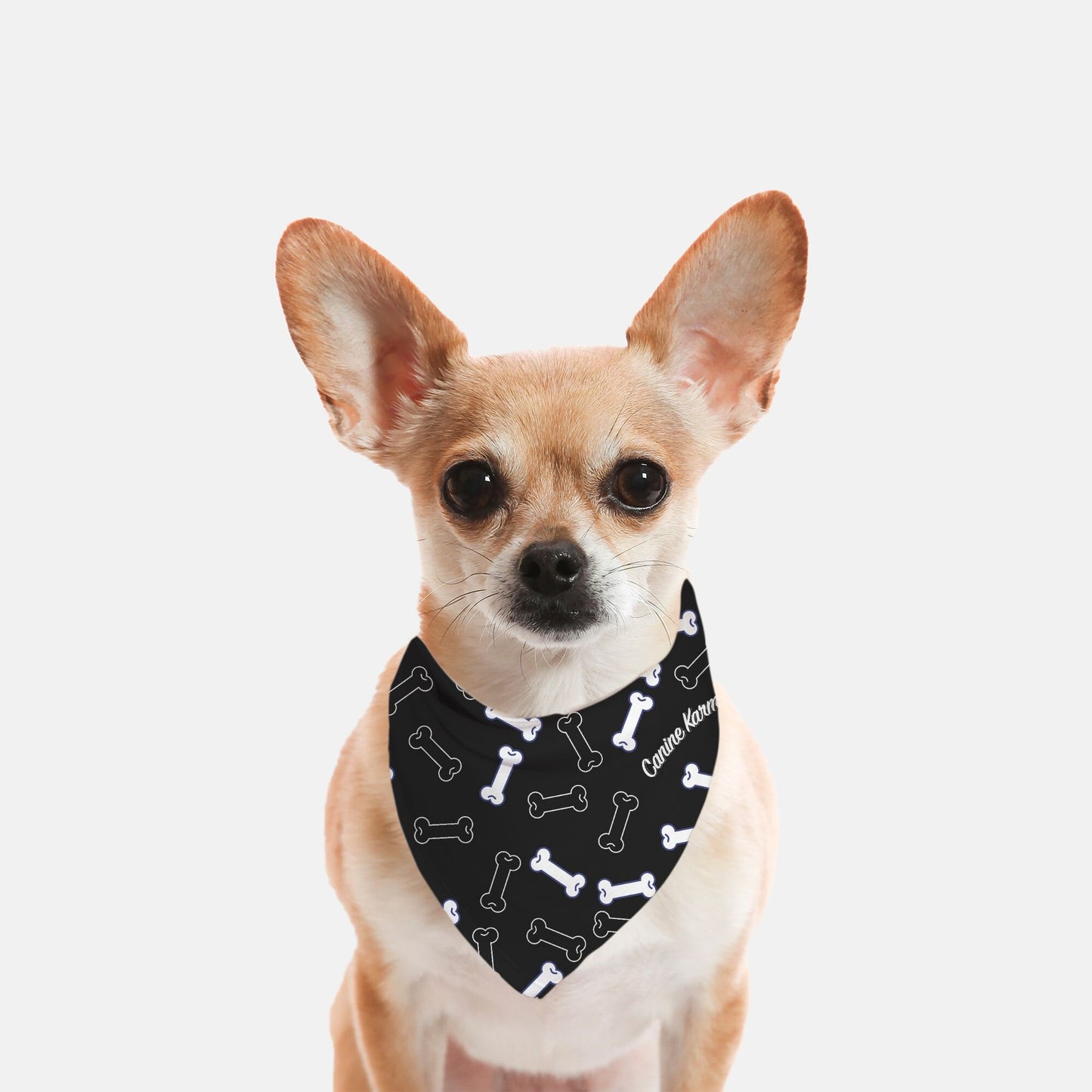 Buster Bandana (Black/White)