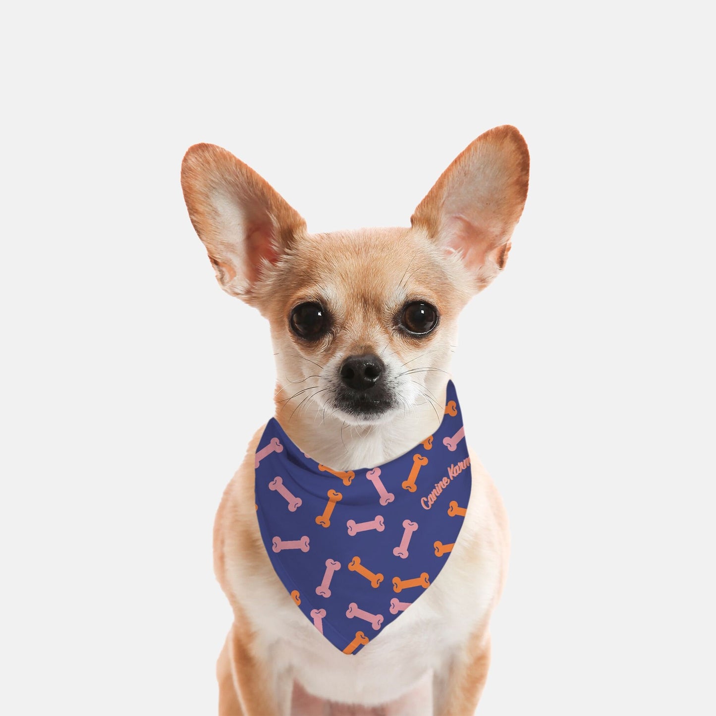 Buster Bandana (Color Pop)