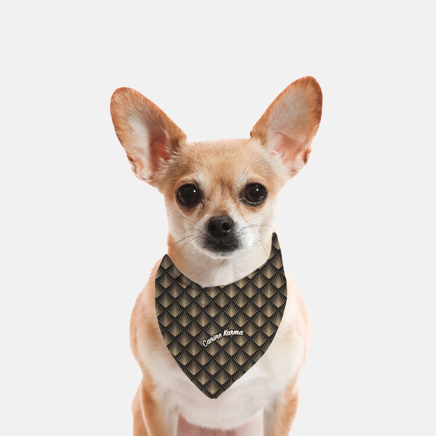 Maisie Bandana