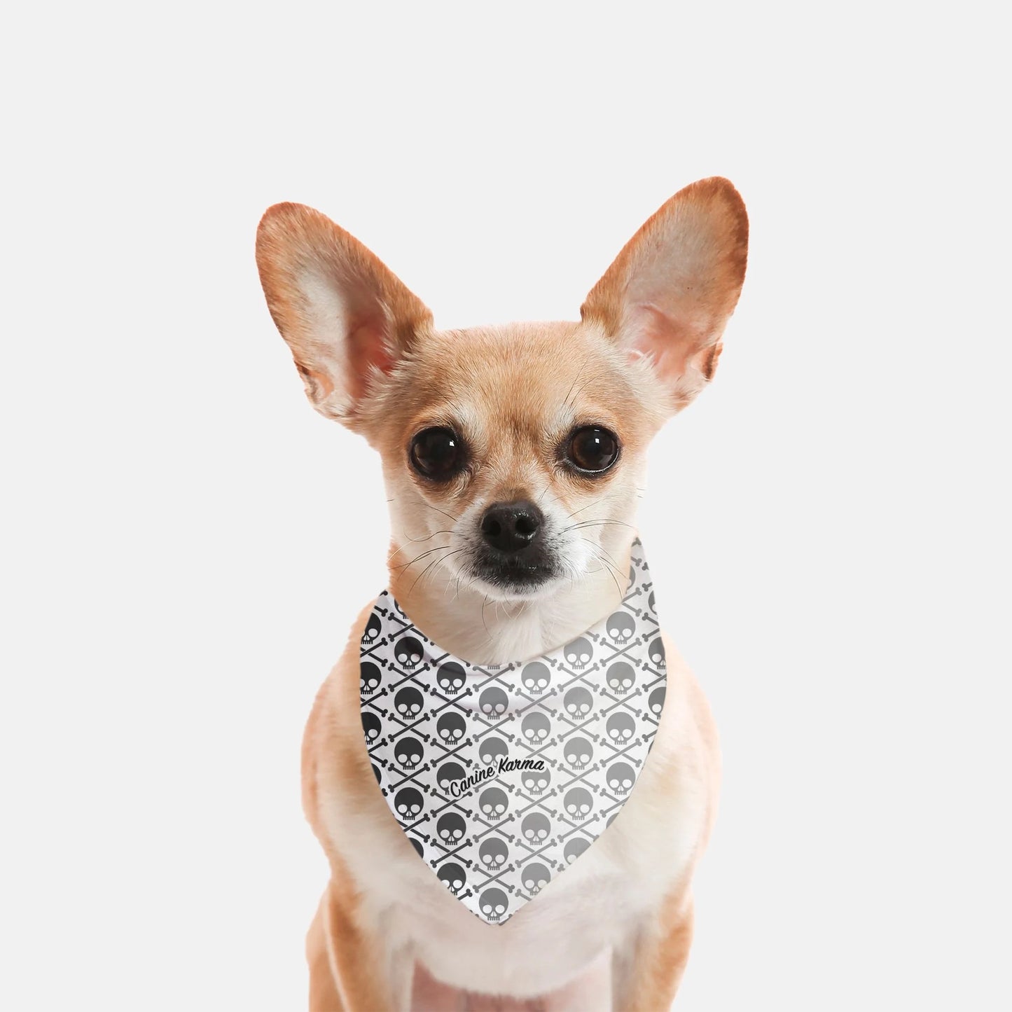 Wyatt Bandana (Grayscale)