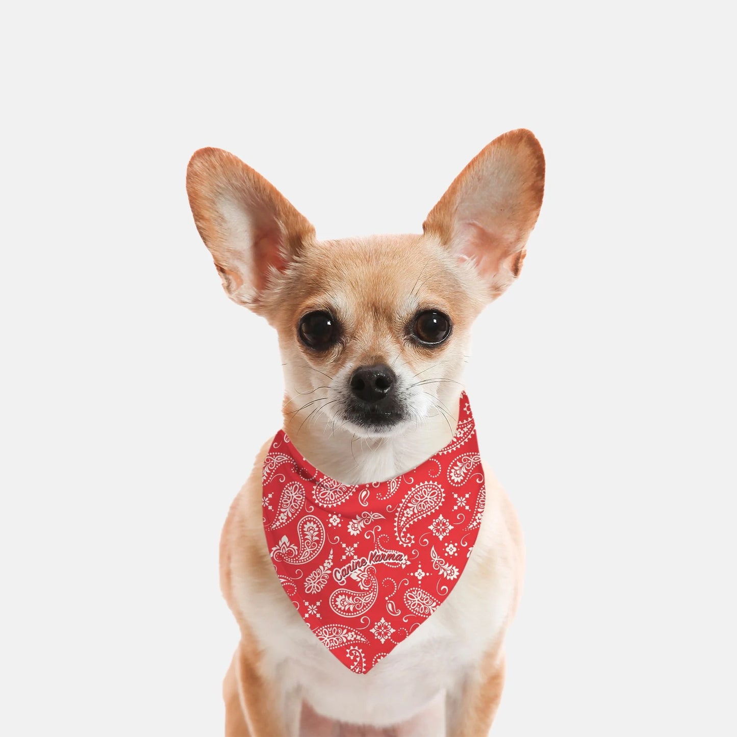 Sawyer Bandana (Red)